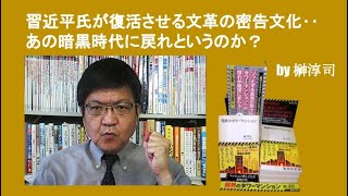 習近平氏が復活させる文革の密告文化‥あの暗黒時代に戻れというのか？　by榊淳司