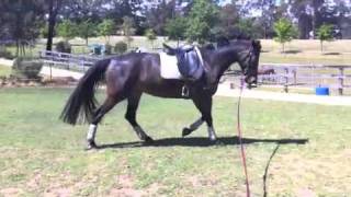 Pixie Back In Work