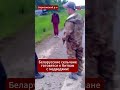 🐻❗ НАЧАЛОСЬ! Медведи захватывают деревни! Сельчане под Борисовом бьют тревогу #новости #viral