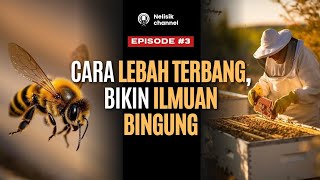 cara LEBAH TERBANG bikin ILMUAN BINGUNG. KOK BISA?? ! 