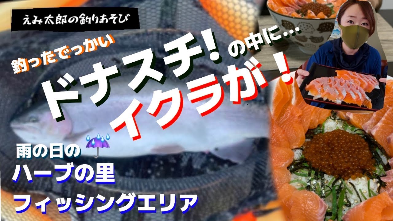 【雨の日のエリアフィッシング】ハーブの里フィッシングエリア　えみ太郎の釣りあそび/Emitarooo Fishing