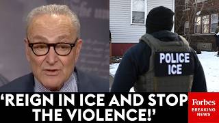 'Reminiscent Of What You See In Dictatorships!': Chuck Schumer Blasts 'Horrific' Videos Of ICE