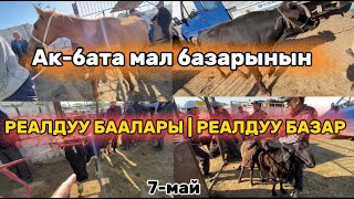 АК-БАТА МАЛ БАЗАРЫНЫН | РЕАЛДУУ БААЛАРЫ | РЕАЛДУУ БАЗАР | 7-май