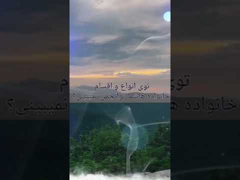انجمن معتادان گمنام  بهبودی با کارکرد ۱۲ قدم