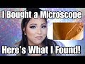 MY TRUTH ON JACLYN HILL LIPSTICKS | MICROSCOPE PROOF | Smashbrush