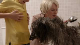 Topsy & Tim 218 - WASHING MOSSY   | Topsy and Tim Full Episodes