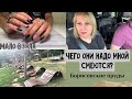 VLOG ❤ Мало денег взяла. Потащили Макса на пруд. Борисовские пруды.