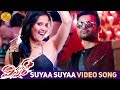 Winner telugu movie songs  suyaa suyaa song  sai dharam tej  anasuya  rakul preet