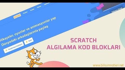 Scratch Algılama Kod Blokları