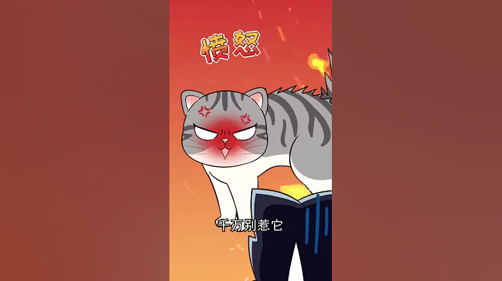 從貓咪尾巴，可以判斷它的心情。最後一個你中招了嗎？［貓咪知識］有貓真好 - 天天要聞