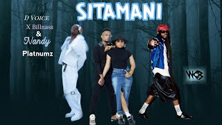 Diamond Platnumz & D Voice ft. Billnass & Nandy - SITAMANI (Official Video)