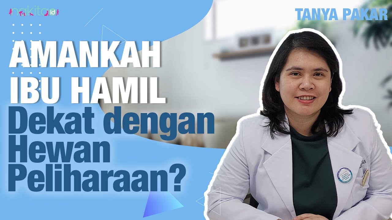 Amankah Ibu Hamil Jika Dekat dengan Hewan Peliharaan? Pahami Yuk, Moms!