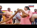 Ratha Yatra 2022: Views Of 'Ratha Daudi' From Bada Danda,Puri