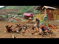 Full building farm life gardening growing crops raising livestock and beautifying the farm