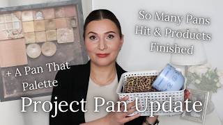Project Pan & Pan That Palette Update | How Many Pans I Hit? @KatariinasVanity