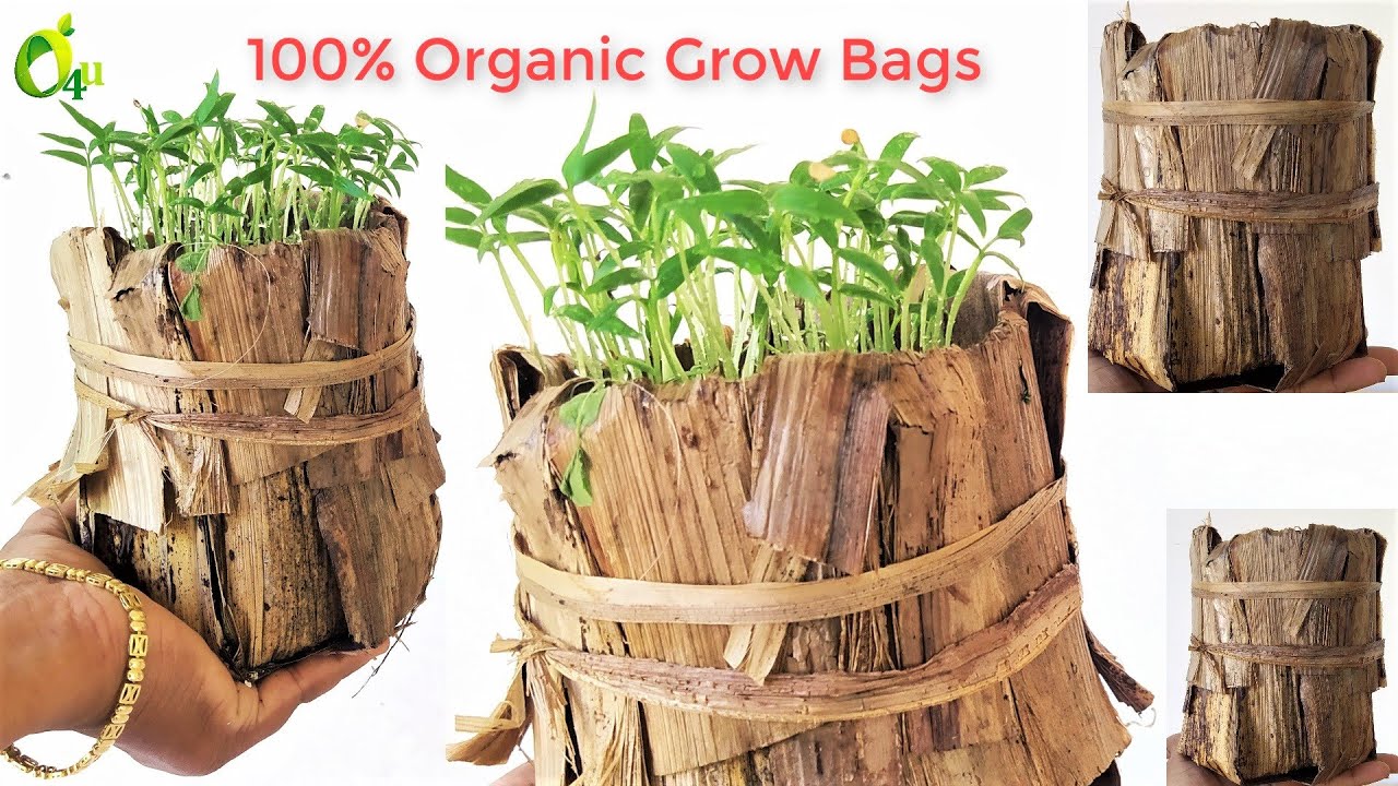 Epic Grow Bags - Unlined