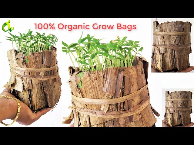 Grow Bag Gardening – Epic Gardening
