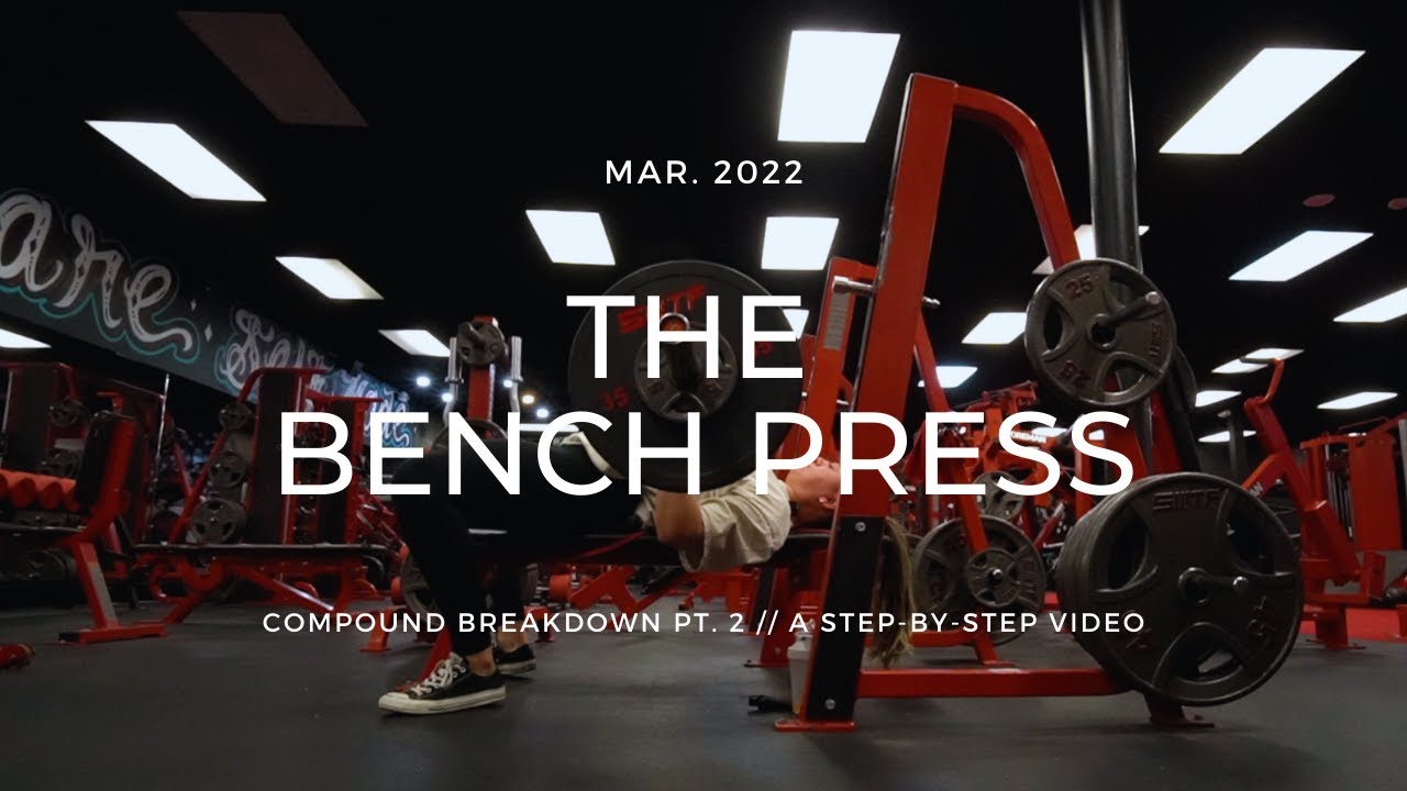 Beginner's Guide to the Bench Press