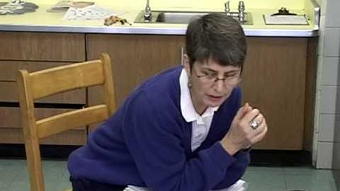 Reading Mastery Setup and Training Series (Part 12) - Sample Workbook and Storybook Formats