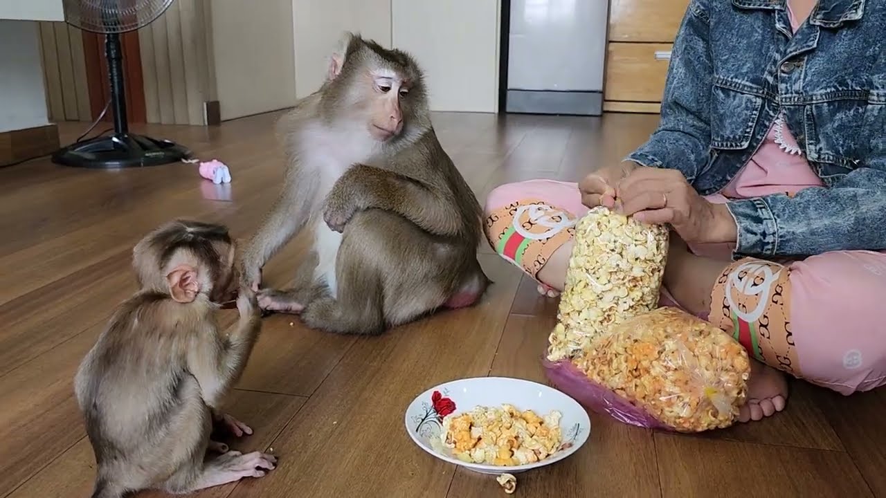 Nui and Poni so cute | Nui Family