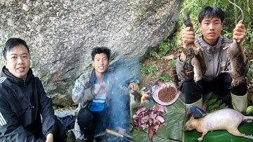 Hành Trình Đi Rừng Đánh Bẫy, Thăm Bẫy Và Ngủ Qua Đêm Giữa Rừng Hoang