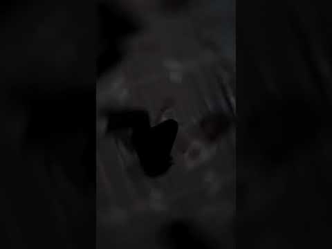 من اليوم بطلنا نعطي نحب نضل نداري