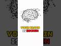 Your Brain is BROKEN... Here is one popular HUMAN GLITCH #psychology #brainfacts #humanbehavior