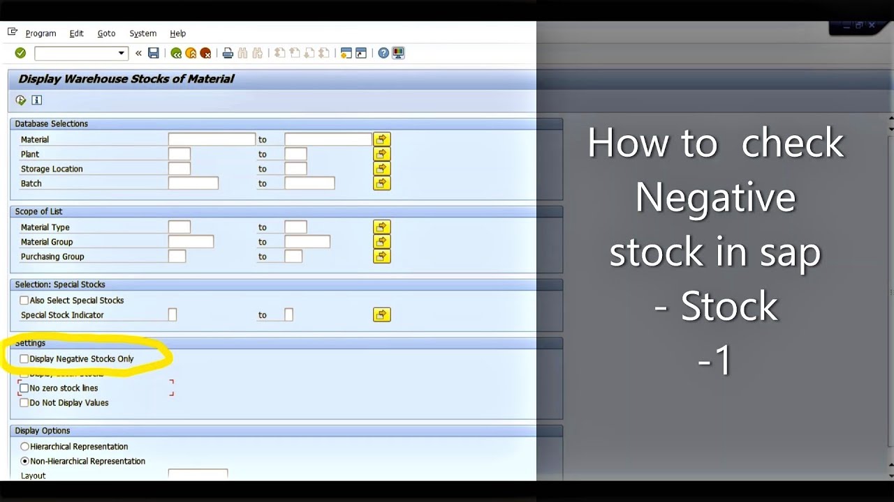 How to check Negative stock in SAP : What is Negative stock in SAP