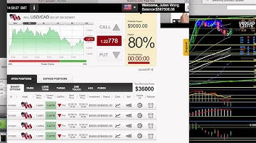 The Binary Lab : Price Action Flags The Right Way To Trade Reverals In Forex or Binary Options