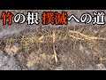 竹の根撲滅への道 再生竹がヤバい