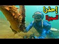 Fishing At 0 Meters Deep ЁЯСИ Giant Sea Cucumbers Within EveryoneтАЩs Reach Fishing At 0 Meters Deep ЁЯСИ Giant Sea Cucumbers Within EveryoneтАЩs Reach