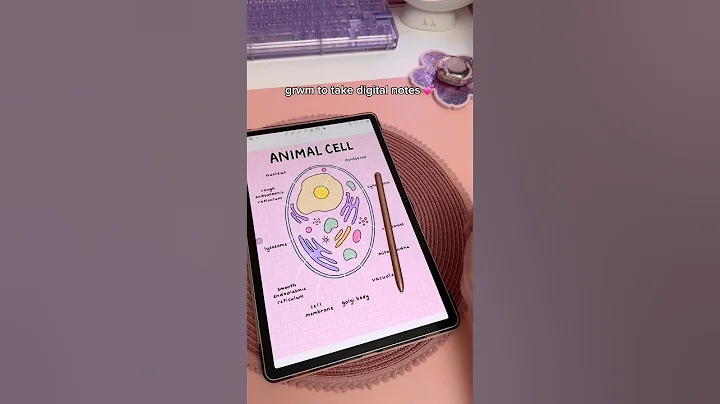 grwm to take digital notes ✏️💕 | Samsung tablet | study note taking