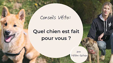 Quel chien fait 15 kg ?