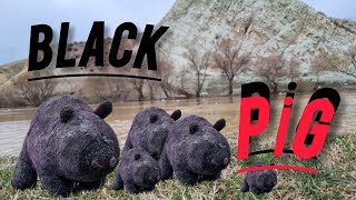 Will the black piglet be clean?asmr