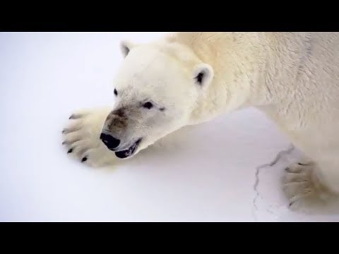 Spitsbergen Arctic voyage