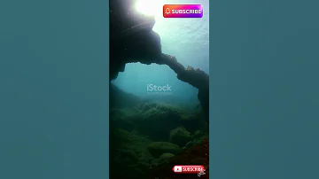 صوت غامض من أعماق المحيط حي ر العلماء 