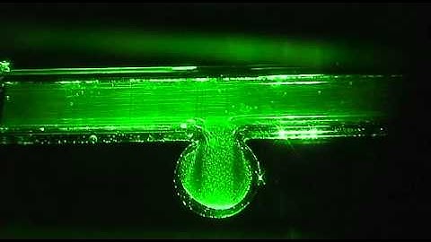 flow visualization around aneurysm model