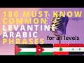 180 must know common levantine arabic phrases for all levels