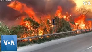 Firefighters Battle Wildfires in Southern France