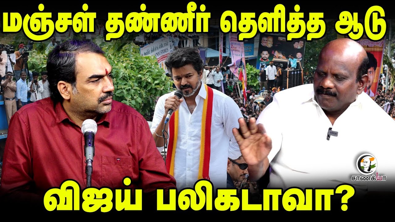 ⁣மஞ்சள் தண்ணீர் தெளித்த ஆடு - விஜய் பலிகடாவா? | TVK Vijay Karur Stampede