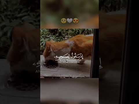 حالات واتس اب دينية مطمئنة ستوريات دعاء ستوريات دينية أدعية تصميم قرأن أ ج ر 