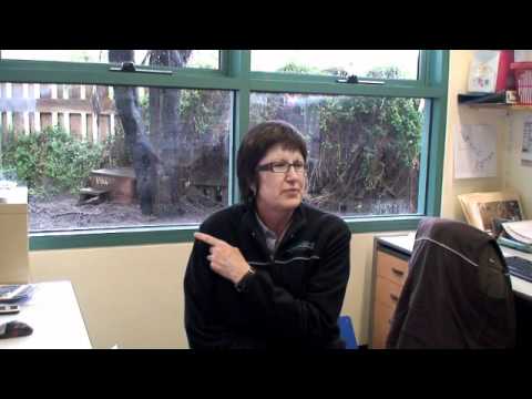 melbourne zoo What noise does a penguin make? (shorter version)
