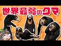 【不憫】マレーグマという変なクマについて知って下さい…