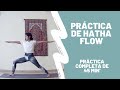 Práctica de Hatha Flow  - 45 min