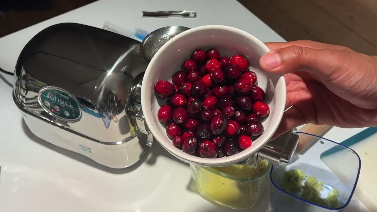 Angel Juicer Cranberry and Ginger Juice YouTube