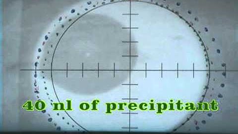 Nanolitre-scale crystallization using acoustic liquid-transfer technology - 1