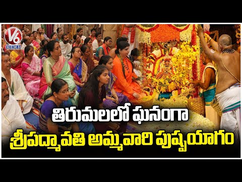 Tirumala Celebrates Majestic Flower Offering to Goddess Padmavathi | V6 News - V6NEWSTELUGU