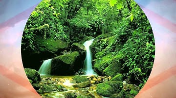 سور من القران الكريم بصوت القارئ غمدان العاقل