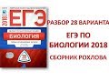 Разбор 28 варианта из сборника Рохлова (Биология ЕГЭ)