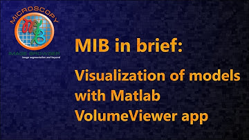 MIB in brief: Visualization of models with Matlab VolumeViewer app